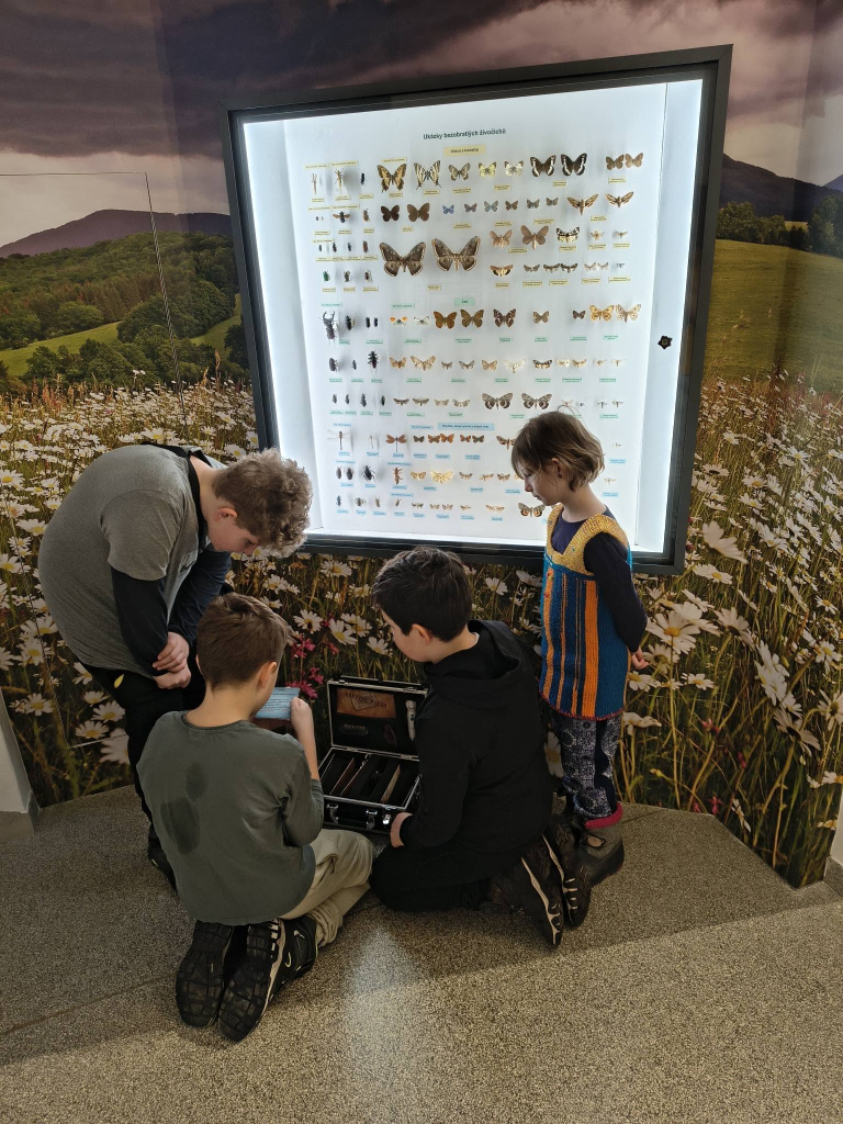 30.1. 2026 přespávačka 8.jpg