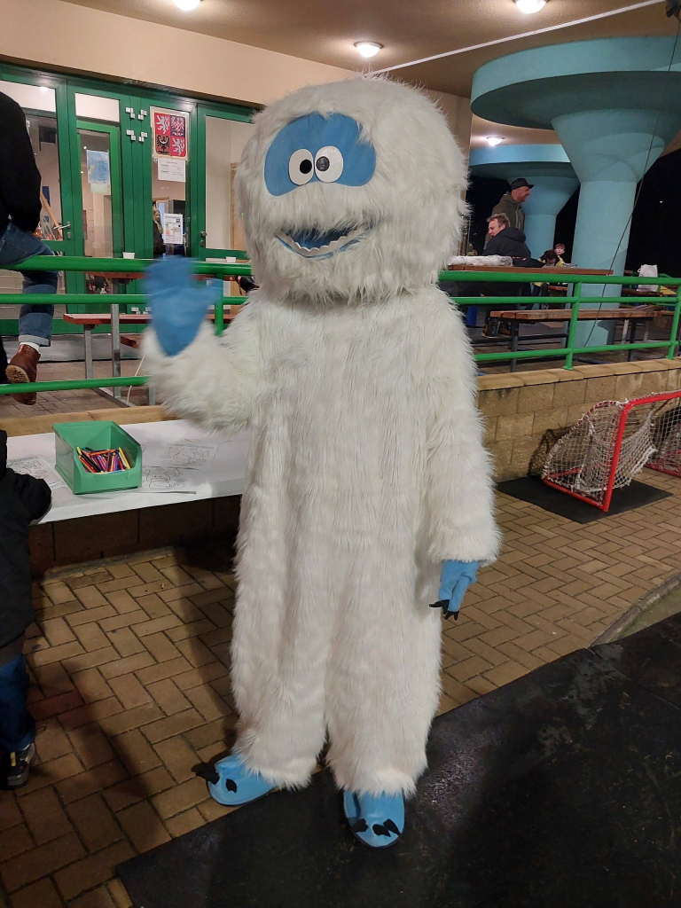 karneval na ledě 1.jpg