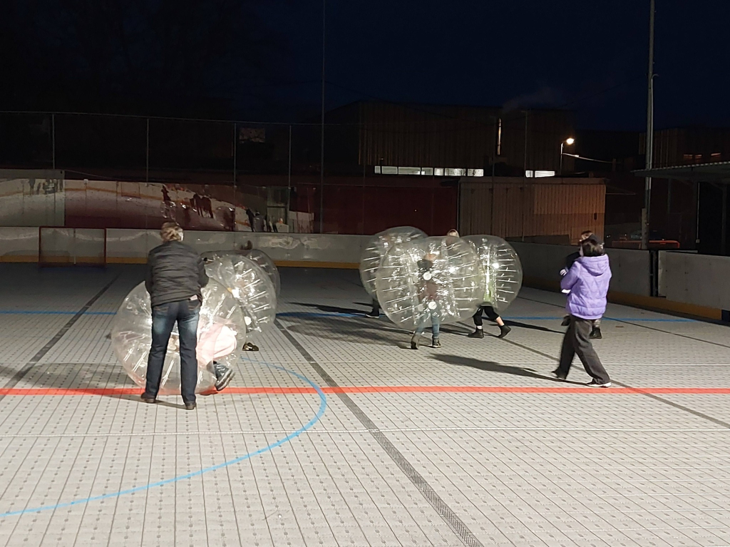 karneval na ledě 2.jpg