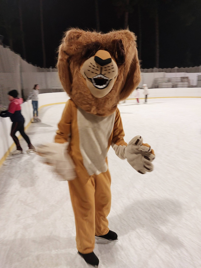 karneval na ledě 4.jpg