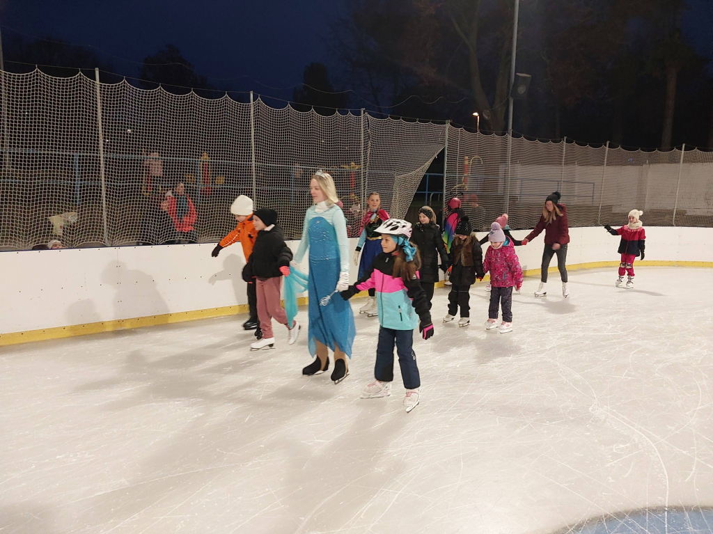 karneval na ledě 3.jpg