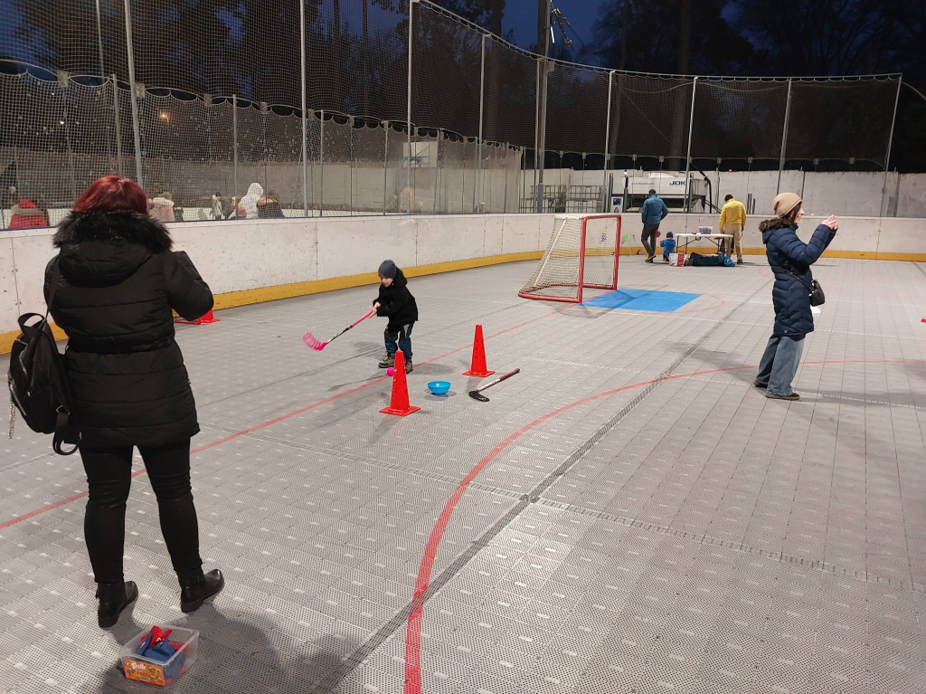 karneval na ledě 5.jpg