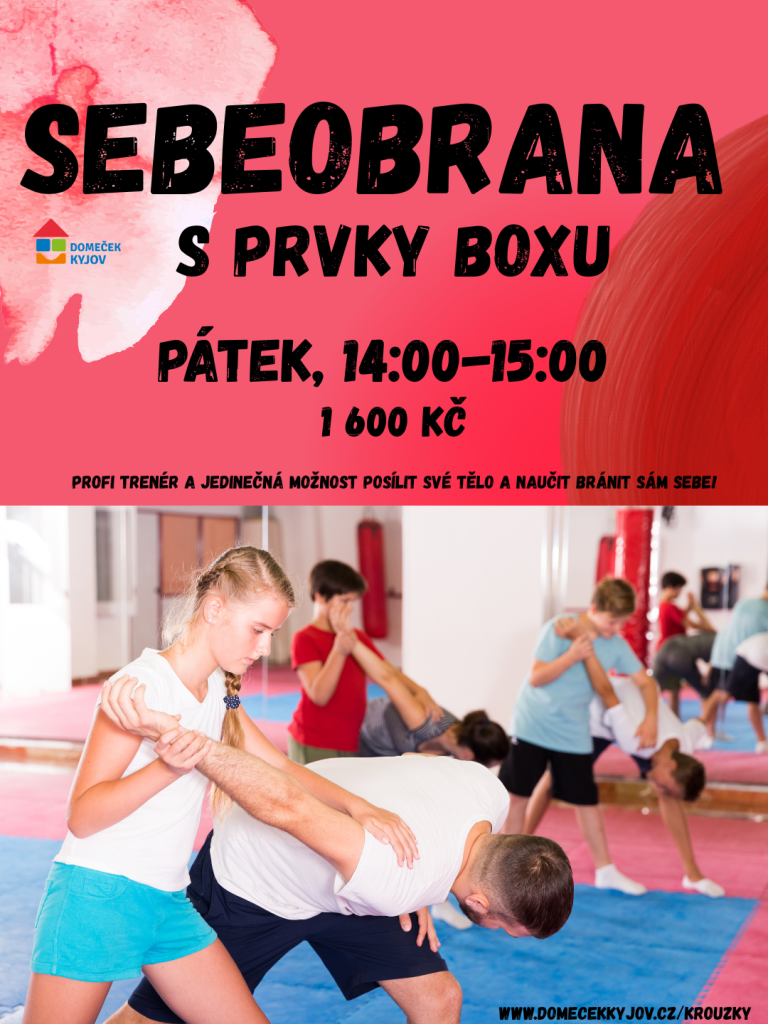 SEBEOBRANA S PRVKY BOXU.png