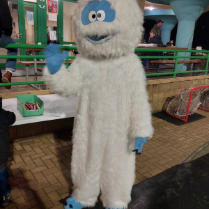 Karneval na ledě 2025